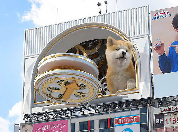 3D Billboard In Shibuya