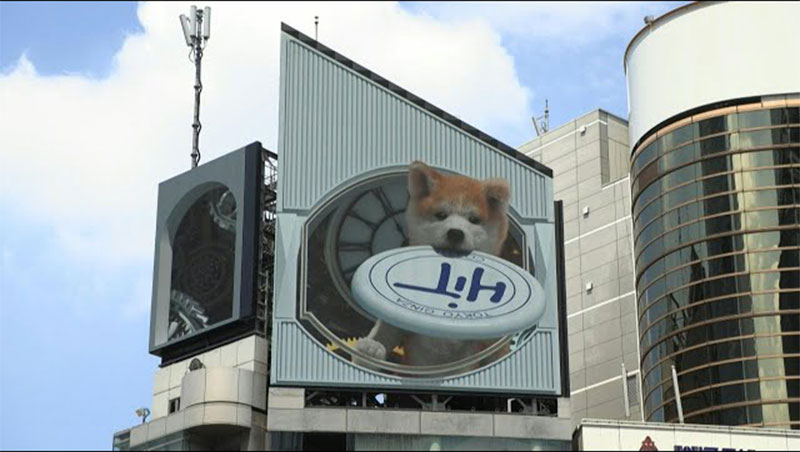 Shibuya Giant Dog 3D Billboard