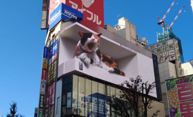 Shinjuku Cat 3D Billboard — Cat Yawning