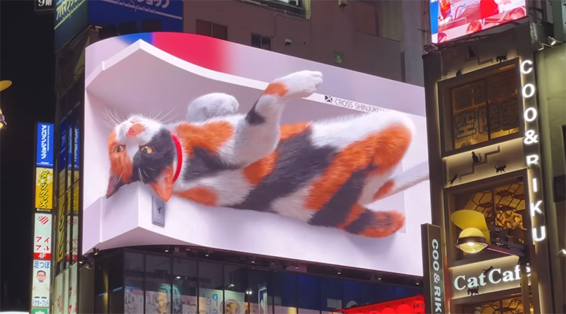 Shinjuku Cat 3D Billboard — Cat Rolling Around