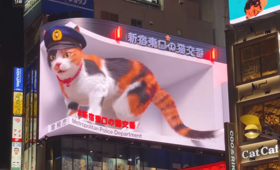 Shinjuku Cat 3D Billboard — Chief Cat