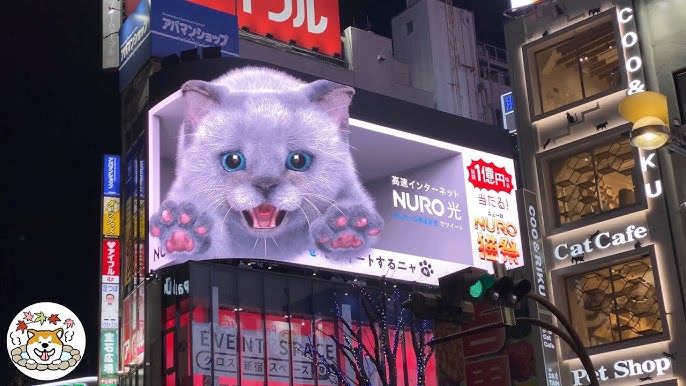 Shinjuku's New Cat 3D Billboard